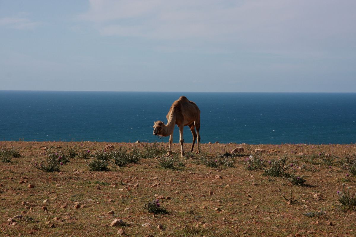 Marocco7