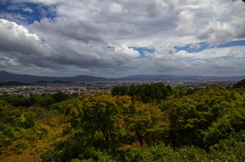  Sogenchi garden 