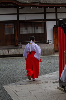  Fushimi Inari Taisha 