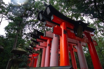  Fushimi Inari Taisha 