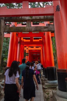  Fushimi Inari Taisha 