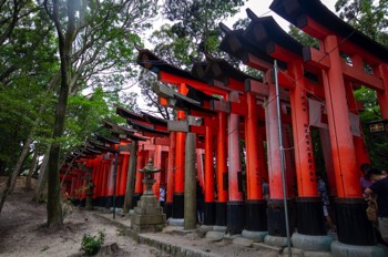  Fushimi Inari Taisha 